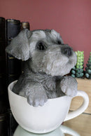 Realistic Grey Adorable Schnauzer Dog In Teacup Statue 5.75" Tall Pet Pal Dog