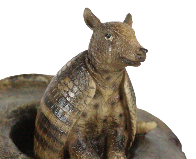 Western Rustic Texas Wild Armadillo Sitting in Cowboy Hat Decorative Figurine