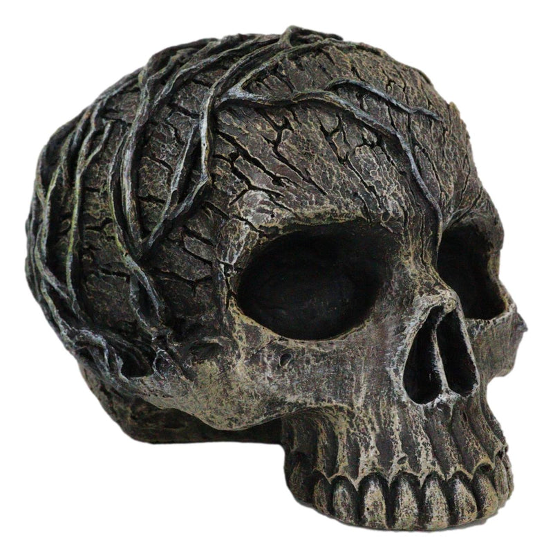 Ebros Tree Spirit Dryad Skull Collectible Figurine Desktop Home Decor 4.5H