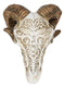Gothic Macabre Ammon Cultic Tribal Tooled Tattoo Scrimshaw Ram Skull Figurine