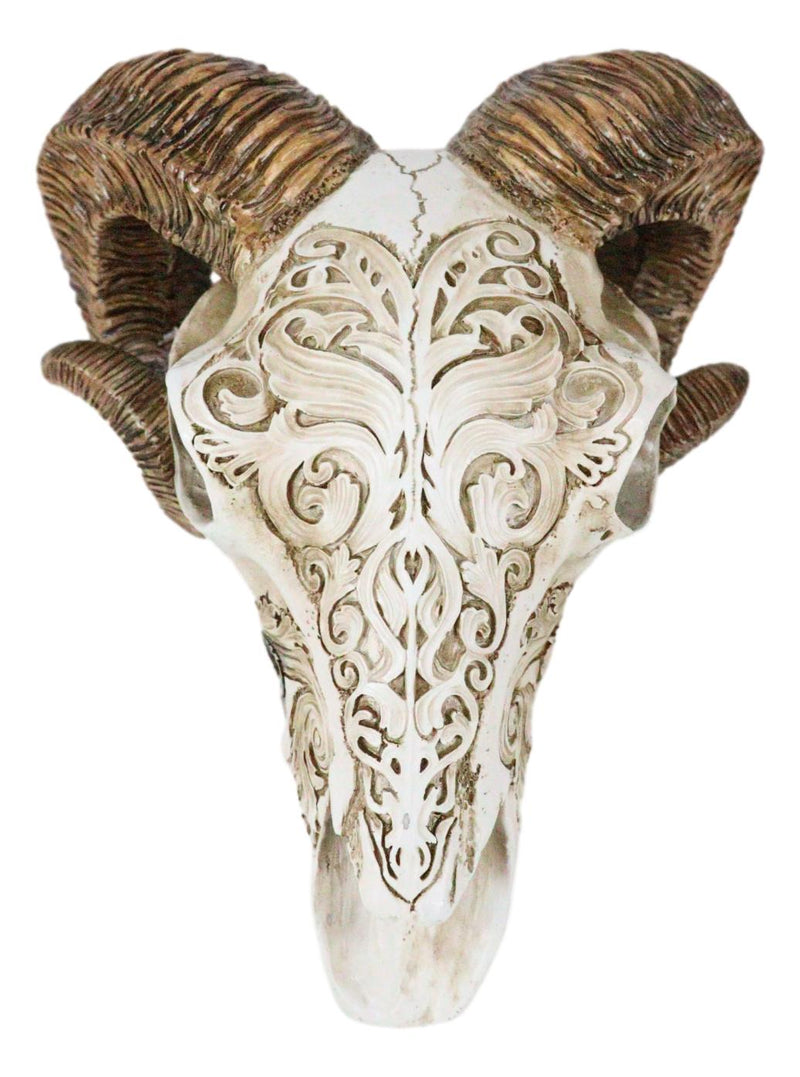 Gothic Macabre Ammon Cultic Tribal Tooled Tattoo Scrimshaw Ram Skull Figurine