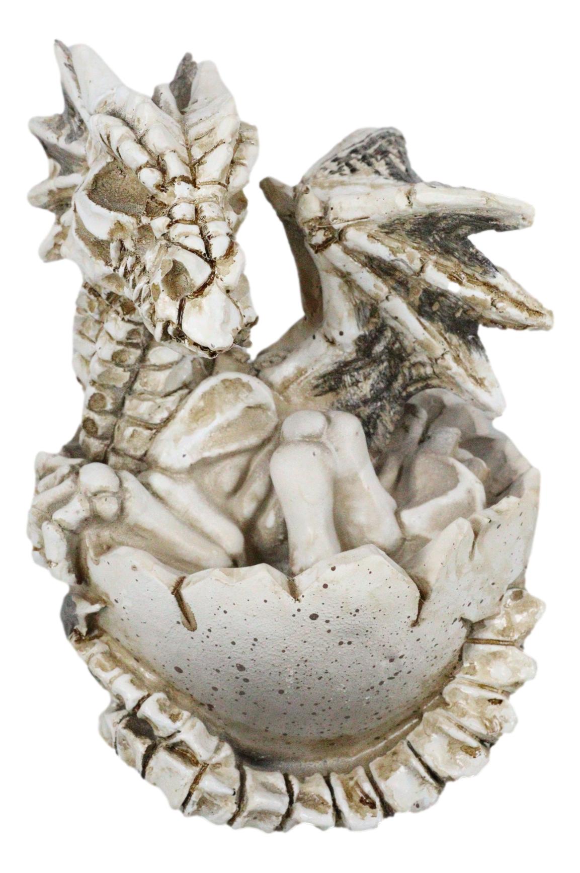 Ebros 4.5" Long Skeleton Bone Wyrmling Dragon Hatchling From Egg Statue Figurine - Ebros Gift