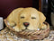 Ebros Lifelike Adorable Labrador Retriever Dog Sleeping in Wicker Basket Statue 6.25" Long Realistic Pet Pal Dog Breed Collectible Resin Decor Figurine