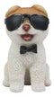 Sunglasses Boo The World's Cutest Pomeranian Dog Statue Pet Pal Dogs Collectible