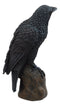 Ebros Gothic Raven Statue Crow Scavenger Bird Perching On Rock Figurine 6"H