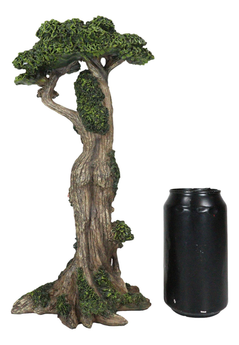 Greenman Tree Woman Gaia Dryad Ent Native Earth Goddess With Canopy Figurine
