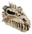 Fossil Skull Smoke Fire Breath Spiked Dragon Incense Holder Burner Figurine Box