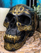 Ebros Celtic Tribal Knotwork Tattoo Black Ghost Vampire Skull Statue 7"Long As Macabre Ossuary Decor Dracula Skeleton Cranium For Halloween