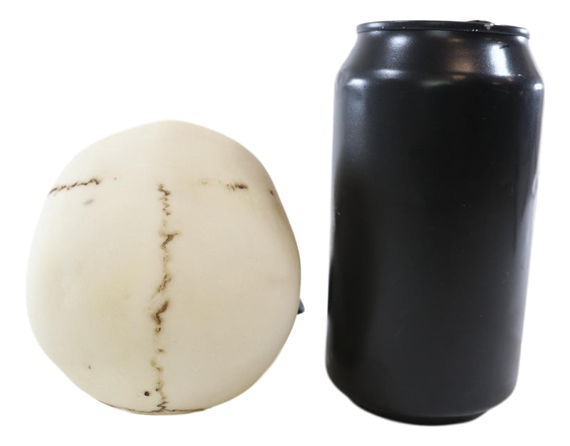 Ebros Black Tango Vampire Skull Biting Pale Rose Stalk Figurine 5"L Ossuary