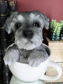 Realistic Grey Adorable Schnauzer Dog In Teacup Statue 5.75" Tall Pet Pal Dog