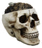 Ebros Day of The Dead Gold Coins Dollar Bills Grinning Skull Decorative Stash Box