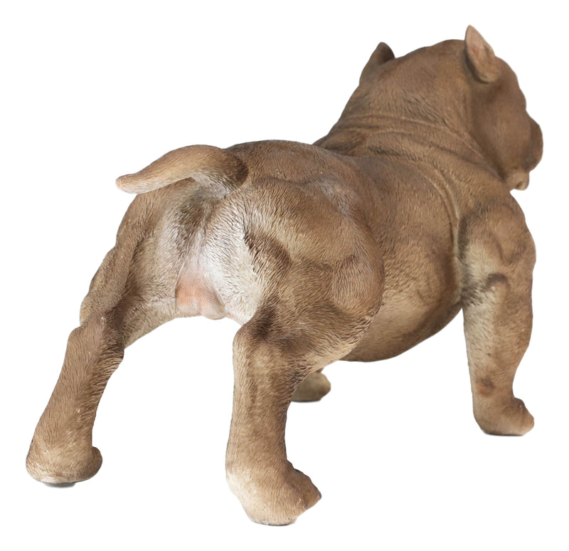 Ebros Animal World Realistic American Bully Dog Home Decor Resin Figurine 18"L