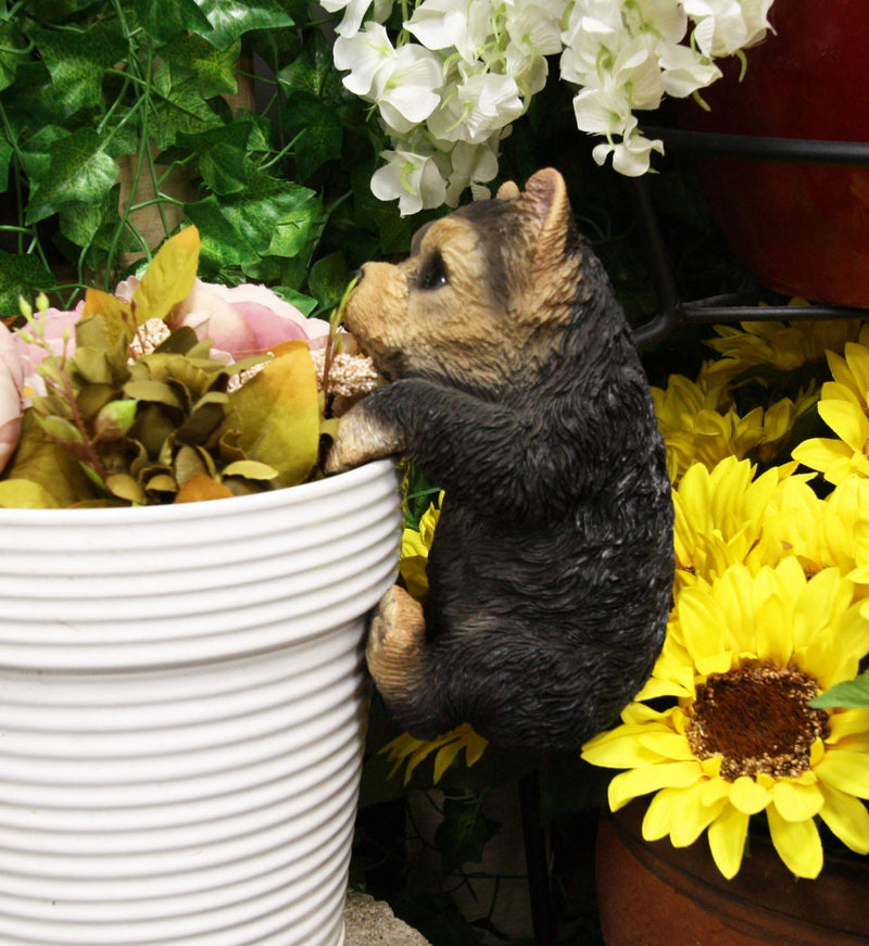 yorkshire plant pots Ebros Garden Pot Hanging Yorkshire Terrier Statue 8" Tall with Glass E– Ebros Gift