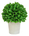 Home And Garden 10"H Green Artificial Faux Boxwood Topiary Ball In Vase Pot