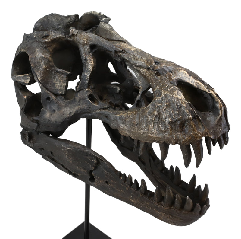 Jurassic Tyrannosaurus Rex T-Rex Faux Fossil Skull With Pole Display Mount 11.5"