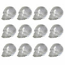 Ebros Dozen Mini Translucent Clear Skull Gothic Halloween Decor 12pc 1 inch Tall