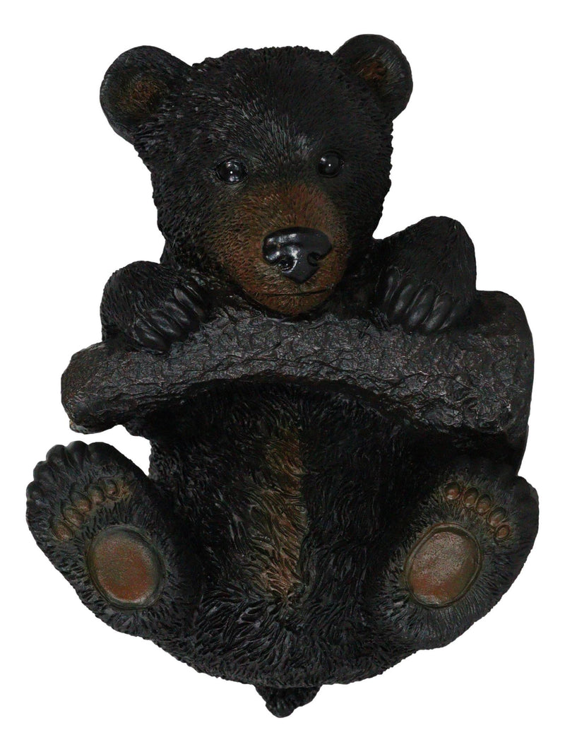 Rustic Western Forest Black Bear Cub Hanging On Branch Wall Or Tree Bark Decor