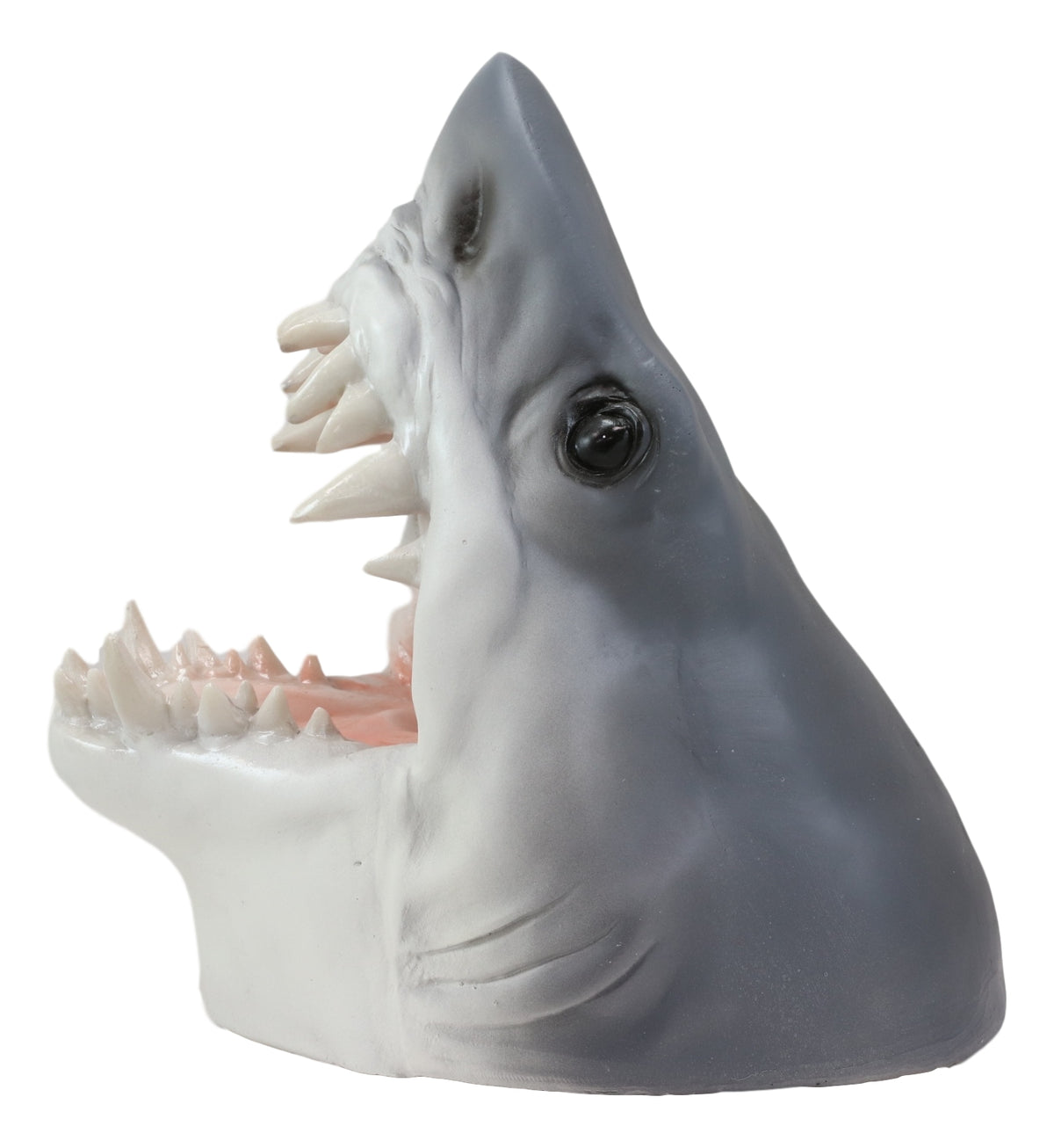 Ocean Marine Prehistoric Megalodon Shark Jaws and Teeth Wine Holder Caddy Statue