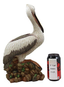 14.25"H Large Ocean Marine Beach Coastal Brown Pelican Standing On Rocks Statue