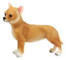 Ebros Adorable Chiquito Chihuahua Dog Statue 7.75"L Lifelike Short Hair Chihuahua