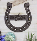 Rustic Western Cast Iron Metal Horseshoe with Good Luck Sign Wall Decor Plaque