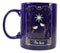Wicca Fortune Teller Psychic Tarot Cards The Star Ceramic Tea Coffee Mug Cup