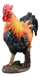 Country Farm Chicken Morning Crow Alpha Rooster Figurine Large Statue Home Decor