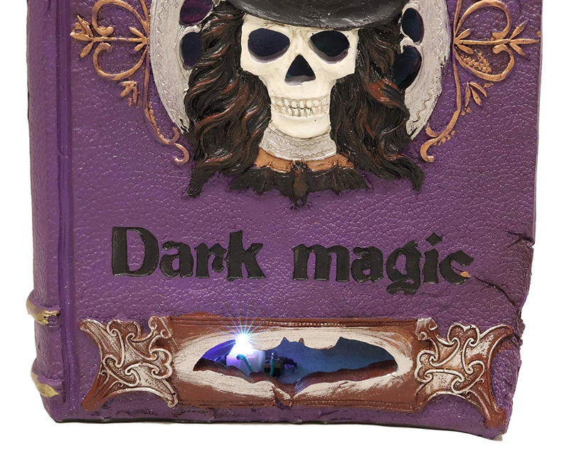 Ebros Black Mystical Cat Perching On Purple Book of Spells with LED Lights