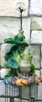 Ebros Pond Green Frog Family On Lily Pads Resonant Relaxing Wind Chime Patio