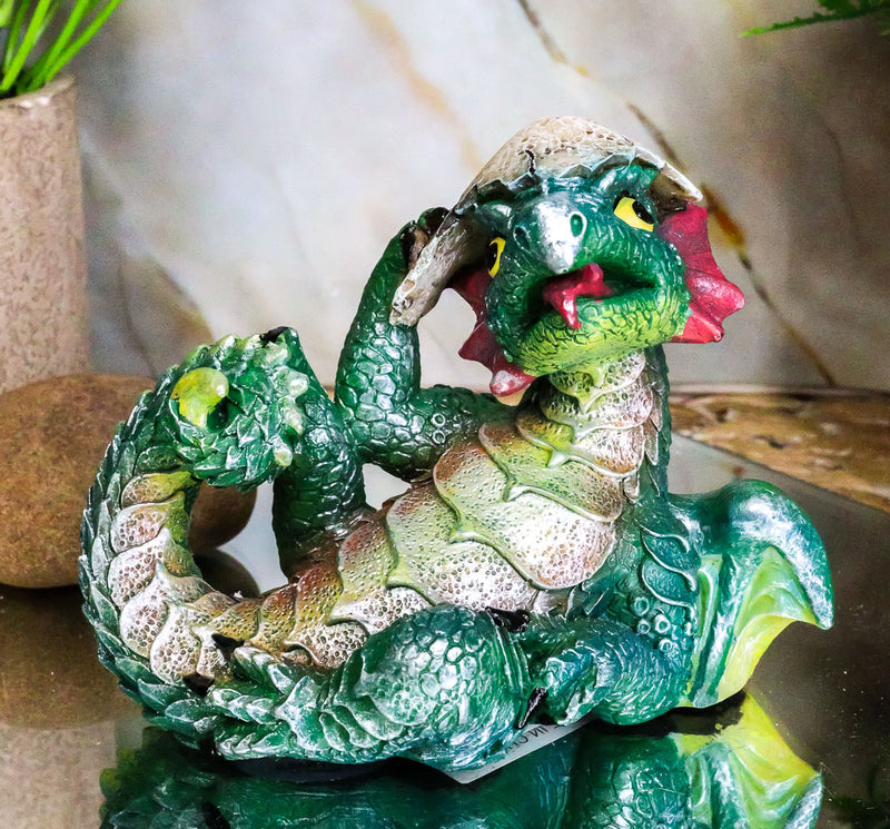 Adorable Green Earth Dragon Hatchling Baby Egg Shell Figurine 2.75"H Collectible