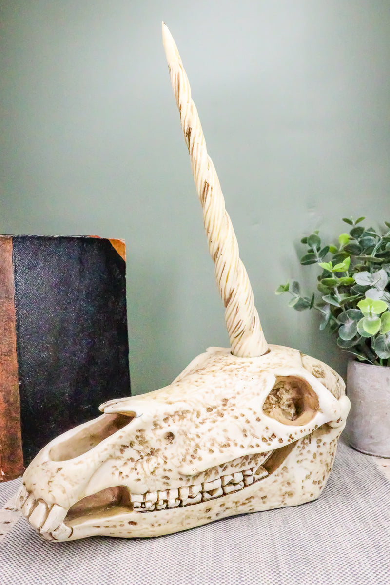 Ebros Fossil Unicorn Skull Rare Mythical Phantom Creature Skeleton Figurine