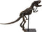 Ebros Jurassic Dinosaur Tyrannosaurus Rex Fossil Skeleton Statue On Museum Mount 19"L