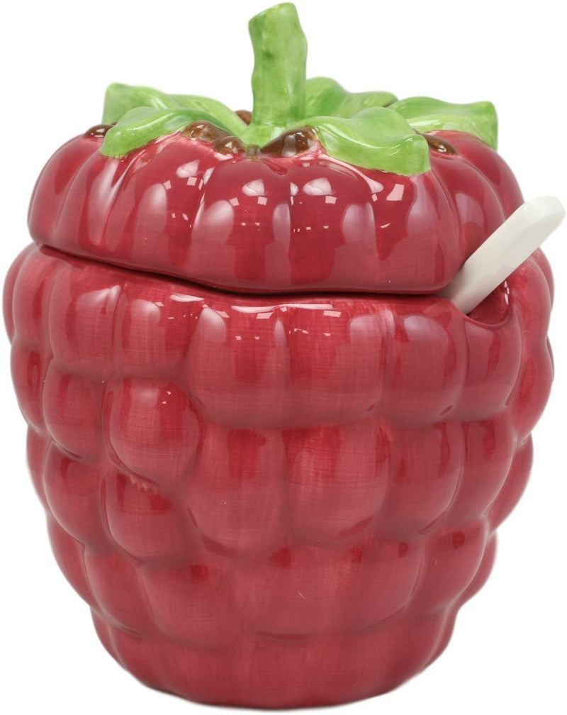 Ebros 6"Diameter Red Raspberry Jam Condiments Container Jar With Lid & Spoon