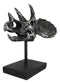 Jurassic '3 Horns' Triceratops Dinosaur Fossil Skeleton Statue With Stand 9"L