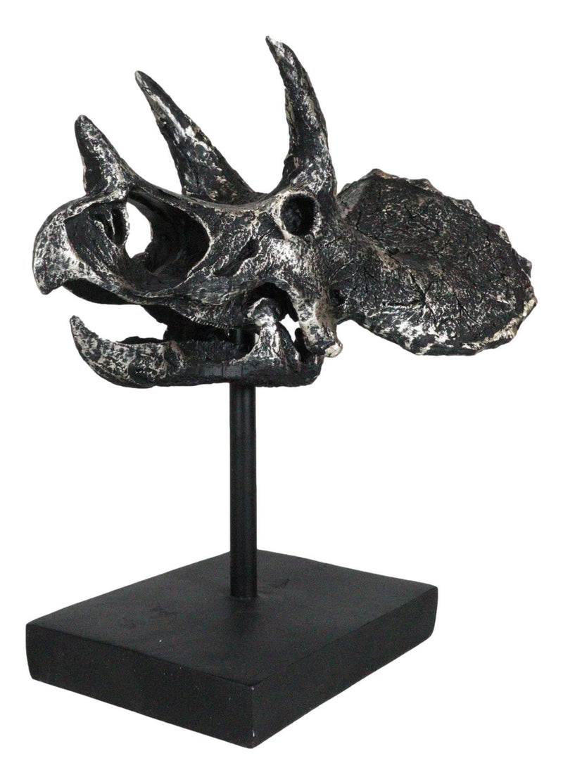 Jurassic '3 Horns' Triceratops Dinosaur Fossil Skeleton Statue With Stand 9"L