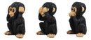 Ebros Silly See Hear Speak No Evil Baby Chimpanzees Figurine Set Of 3 Three Wise Apes Of The Jungle No Evils Monkeys Collectible Decor 4"Tall