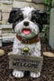 Ebros- Small But Sassy - Adorable Black & White Shih Tzu Puppy Dog Sitting Figure with Reversible Welcome Sign Home Accent Patio Sculpture Garden Décor, 11-inch