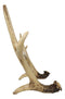 Western Rustic Stag Deer Antlers Book Photo Frame Ipad Tablet Holder Easel Stand