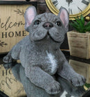 Realistic Lifelike Gray French Bulldog Puppy Sitting On Belly Figurine Frenchie