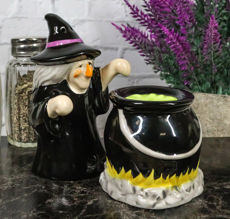 Black Potion Magic Witch And Large Cauldron Pot Hearth Salt Pepper Shakers Set