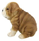 Ebros Lifelike Sitting Adorable Bulldog Puppy Dog Figurine 5"H Pet Pal Puppies
