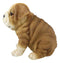 Ebros Lifelike Sitting Adorable Bulldog Puppy Dog Figurine 5"H Pet Pal Puppies