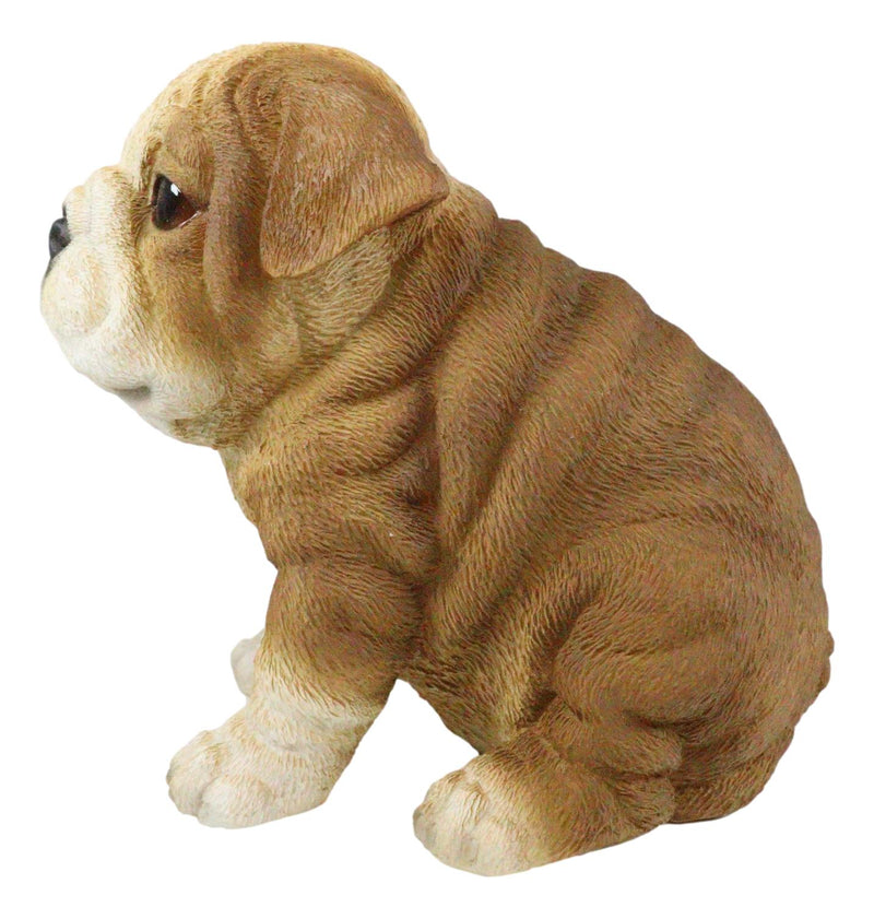 Ebros Lifelike Sitting Adorable Bulldog Puppy Dog Figurine 5"H Pet Pal Puppies