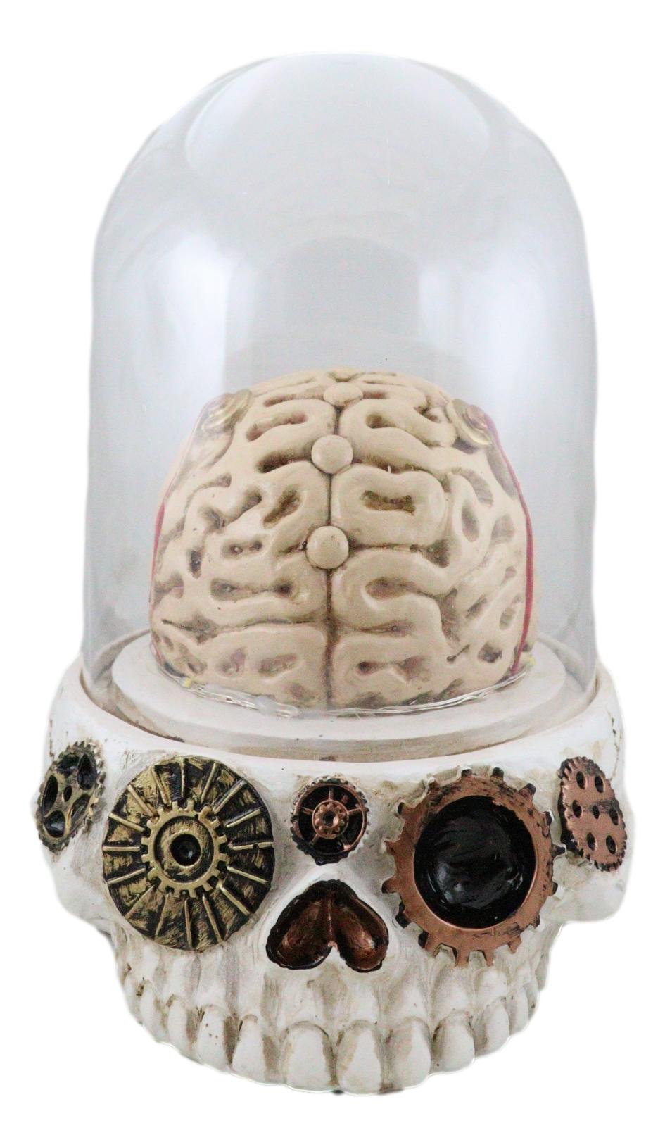 Steampunk Apothecary Gearwork Skull With Brains In LED Light Cloche Glass Dome