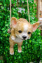 Deer Head Chihuahua Puppy Dog On Branch Swing Hanger Wall Decor Figurine