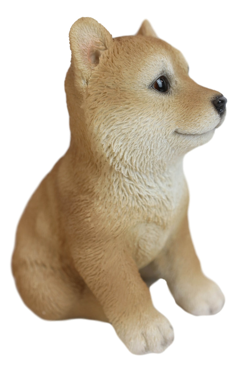 Lifelike Realistic Japanese Shiba Inu Puppy Dog Figurine With Glass Eyes 5"H