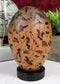 Prehistoric Speckled Dragon Egg Fossil Statue With Base Stand Jurassic Dinosaur