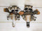 Forest Rustic 2 Playful Raccoons Dangling On Tree Branch 6 Pegs Wall Hook Decor