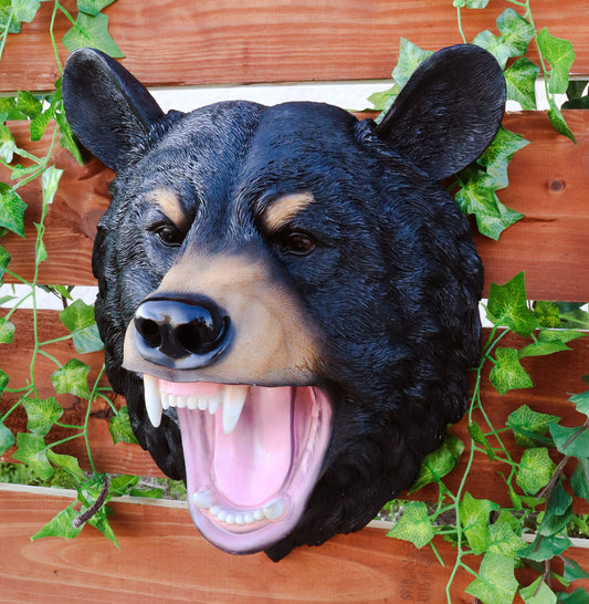 Large Roaring Black Bear Taxidermy Wall Decor 15.5"Tall Wildlife Ferocious Bear - Ebros Gift