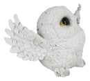 Tundra Forest Arctic White Snow Owl Fat Chick Flapping Its Wings Cute Figurine